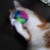 Profile picture of Casey
