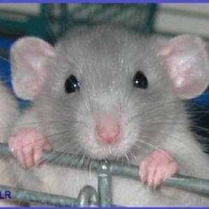 Profile picture of Ana