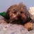 Profile picture of Riley