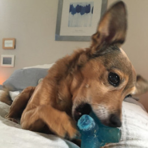 Profile picture of Cyrus