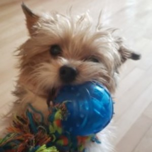 Profile picture of Jess
